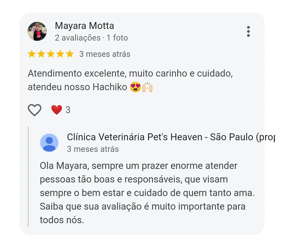 Avaliação 5 estrelas