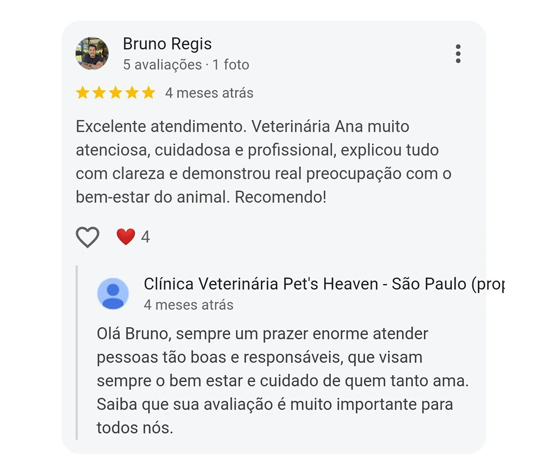 Avaliação 5 estrelas