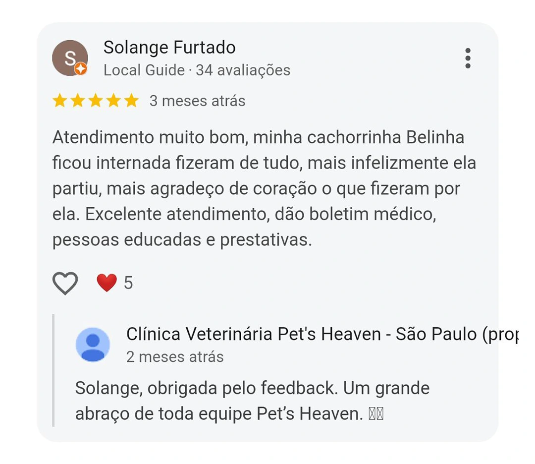 Avaliação 5 estrelas