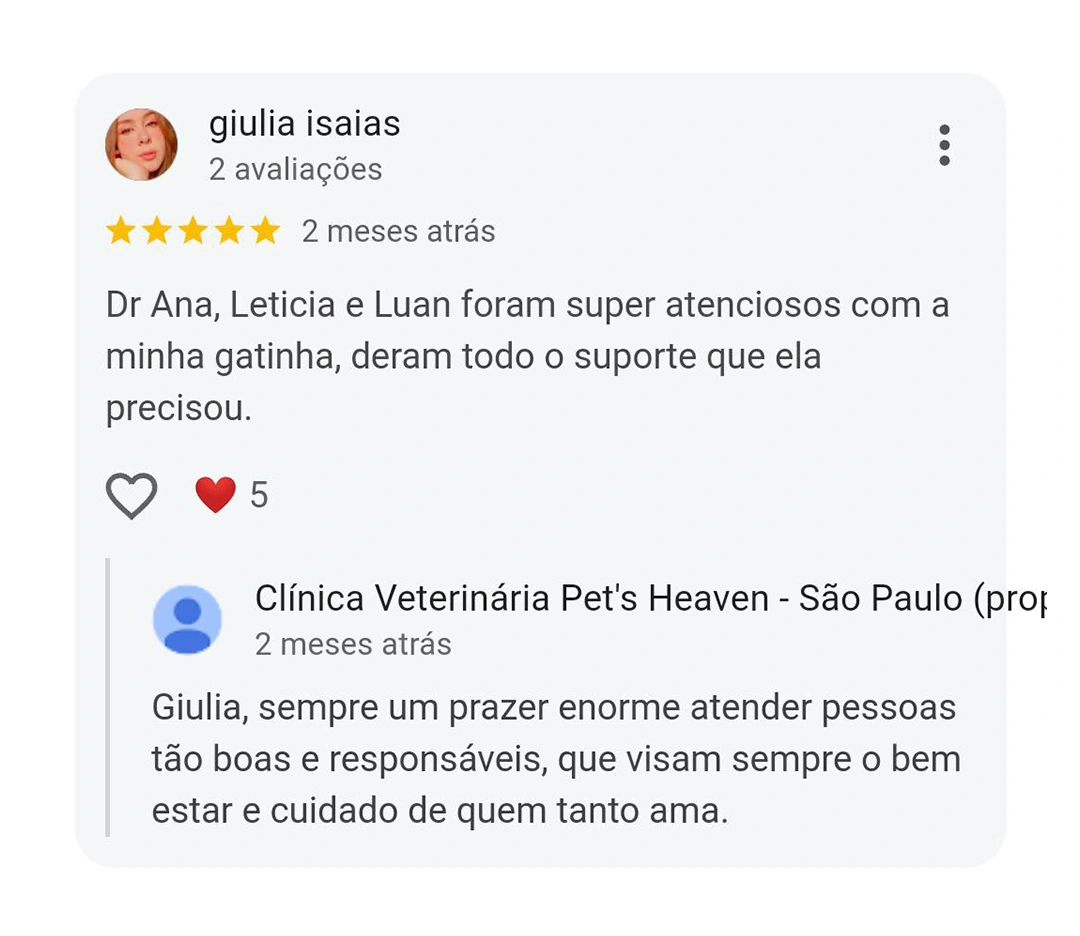 Avaliação 5 estrelas