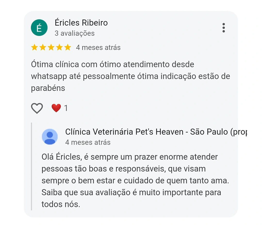 Avaliação 5 estrelas
